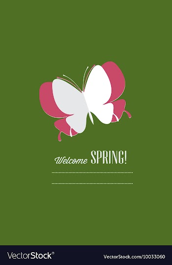 With butterfly and vector image