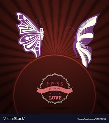 With love and butterfly vector image