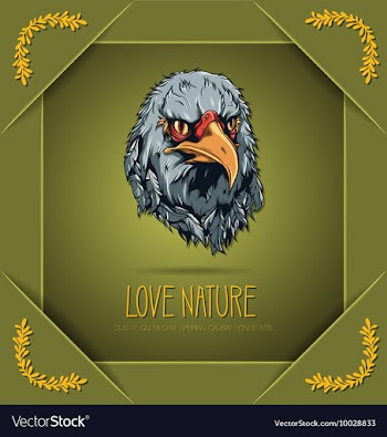 With nature and eagle vector image
