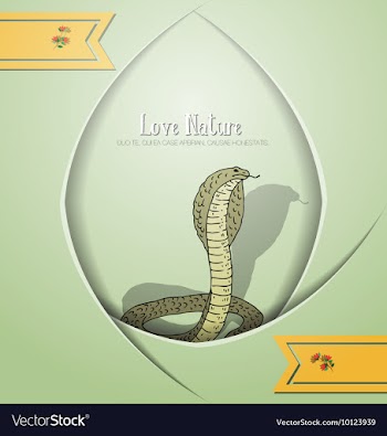 With nature and flower vector image