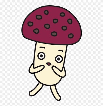 With No Risk Of Disease Or Bacterial Cross-contamination - Hokto Mushroom