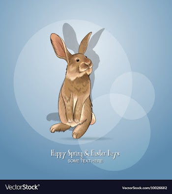 With spring and bunny vector image