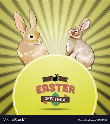 With spring and bunny vector image