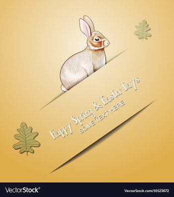 With spring and bunny vector image
