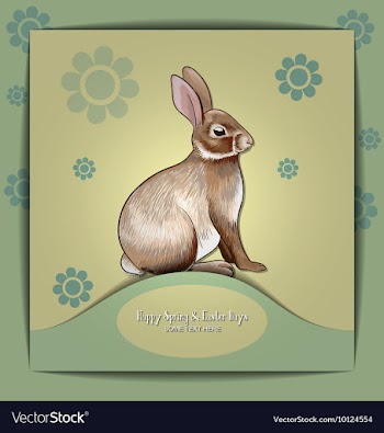 With spring and bunny vector image