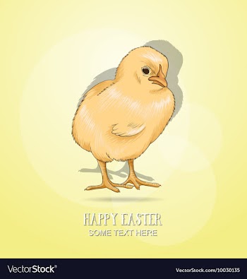 With spring and chicken vector image