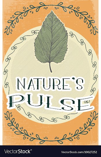 With subtle background and vintage typograph vector image