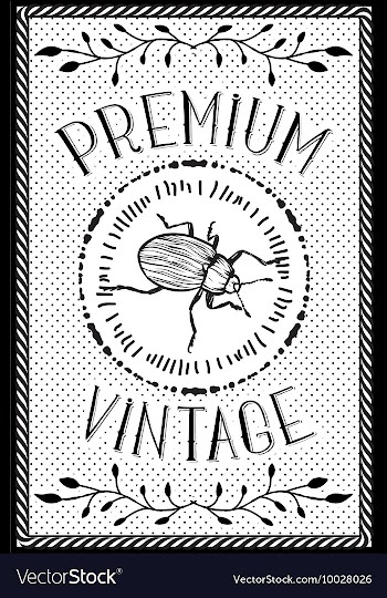 With subtle background and vintage typograph vector image