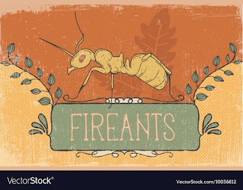 With subtle background and vintage typograph vector image