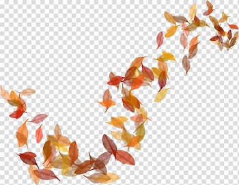Withered autumn leaves transparent background PNG clipart