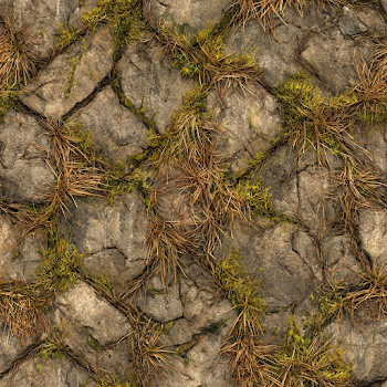 Withered Grass and Stone Paved Floor Texture