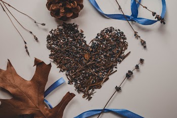 Withered Lavender Flowers Shaped in Heart Decor