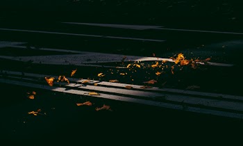 Withered Leaves