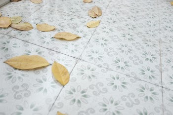 Withered Leaves on Floor