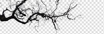 Withered,no leaf transparent background PNG clipart