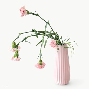 Withered pink carnation in a pink vase design element | Free  transparent png - 2344508