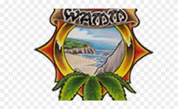 Wo/men's Alliance For Medical Marijuana Wamm - Moneytree