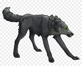 Wolf's Rain Collaboration - Imagenes De Wolf's Rain Tsume Lobo