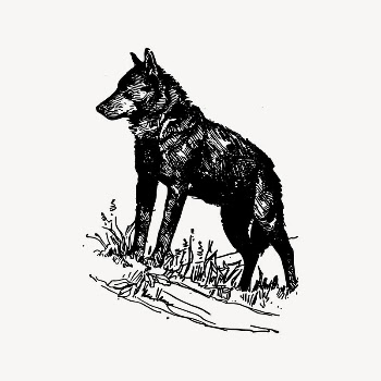Wolf clipart, drawing illustration vector. | Free Vector Illustration - rawpixel