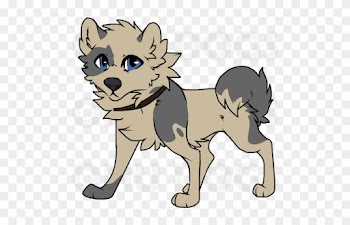 Wolf Dog - Leo