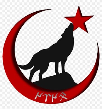 Wolf Head Symbol - Wolf Silhouette Vector