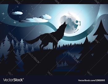 Wolf Howling in the Night Forest4 vector image