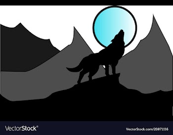 Wolf in darkness vector image