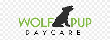Wolf Pup Daycare Watford City, North Dakota - Puma