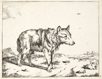 Wolf standing, facing right by Marcus | Free Photo - rawpixel