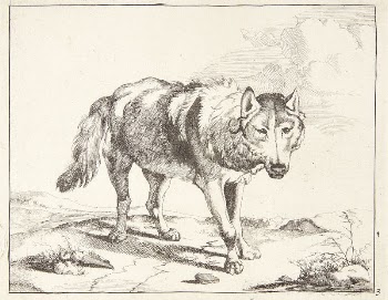 Wolf standing, facing three-quarters right | Free Photo - rawpixel