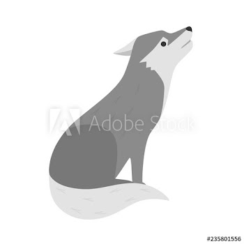 Wolf wild animal from the forest