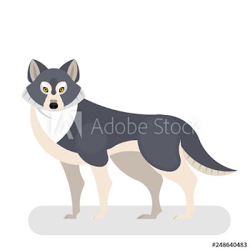 Wolf wild animal from the forest