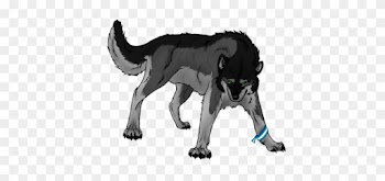 Wolves Wallpaper Possibly With A Lippizan Titled Wolves - Gray Wolf
