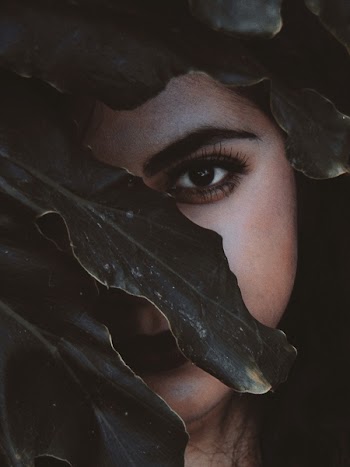 Woman's Face Behind the Leaf Close-up Photo