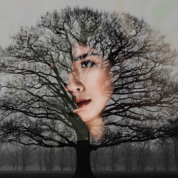 Woman's Face With Bare Tree Artwork