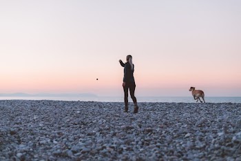 Woman And Dog Play On The Beach