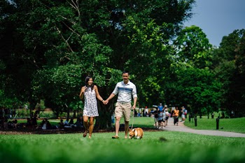 Woman and Man Holding Hands Beside Brown Dog While Walking on Green Grasses Surrounded by Green Leafed Trees