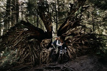 woman and man sitting on tree