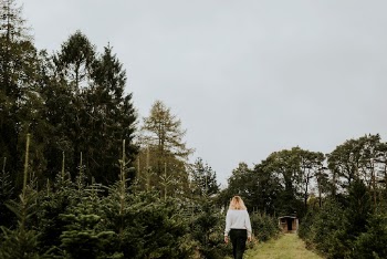 Woman at a Christmas tree | Free Photo - rawpixel
