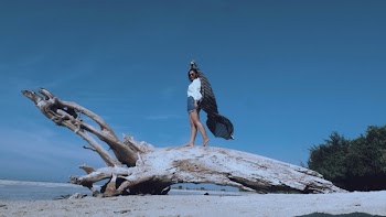 Woman at Top of Tree Trunk Near Beach