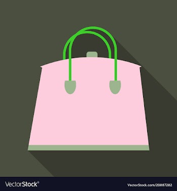 Woman bag ladies handbag isolated on background vector image