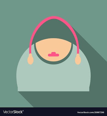 Woman bag ladies handbag isolated on background vector image