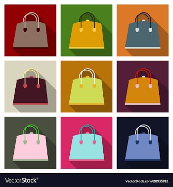 Woman bag ladies handbag isolated on background vector image