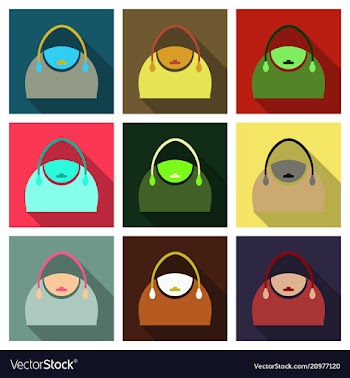 Woman bag ladies handbag isolated on background vector image