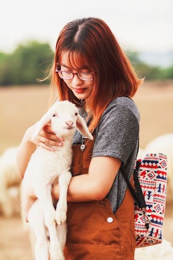woman carrying a goat