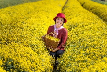 Woman Carrying Basket Filled With Yellow Flowers