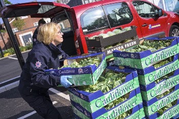 Woman carrying cauliflower boxes, May | Free Photo - rawpixel