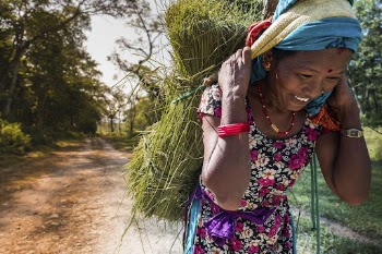 Woman carrying grass on back, | Free Photo - rawpixel