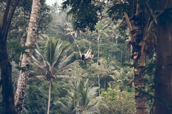 woman climbing between trees