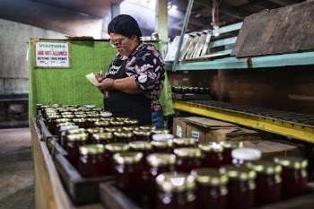 Woman cook checking order, Imugan, | Free Photo - rawpixel